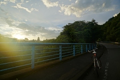 北岸林道より鳥居原園地