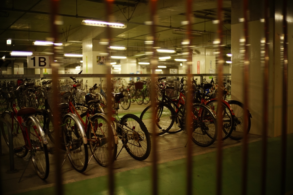 Voigtlander NOKTON Classic 35mm F1.4①