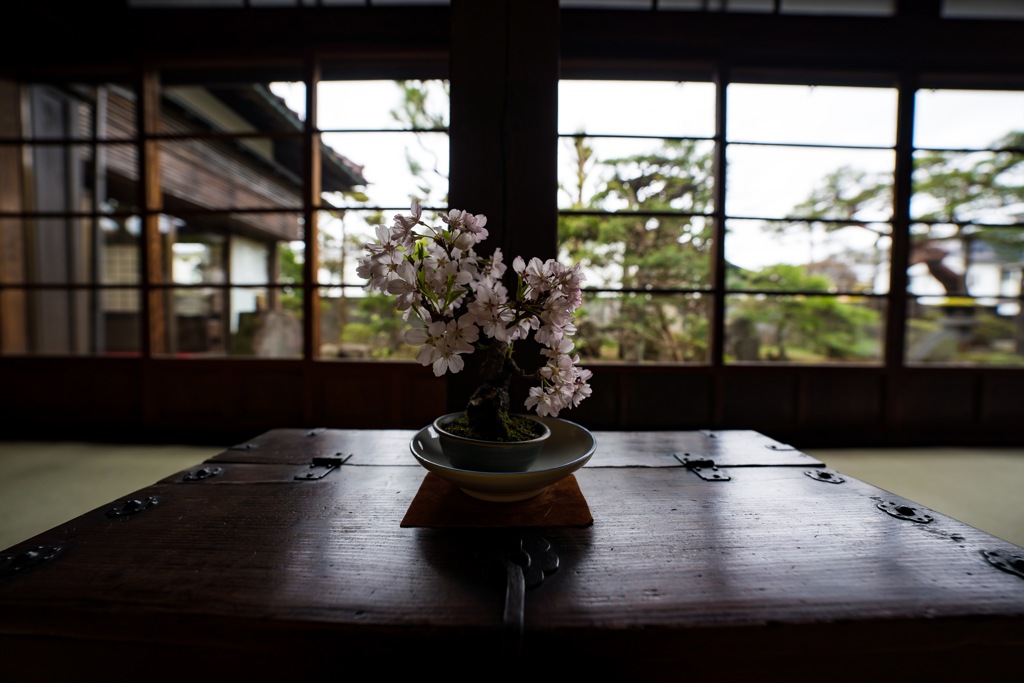 出羽桜美術館③