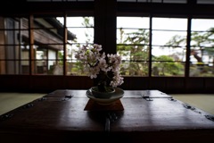 出羽桜美術館③
