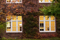 立教大学③