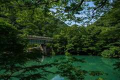 玉川合流部