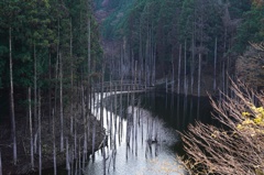 導水管②