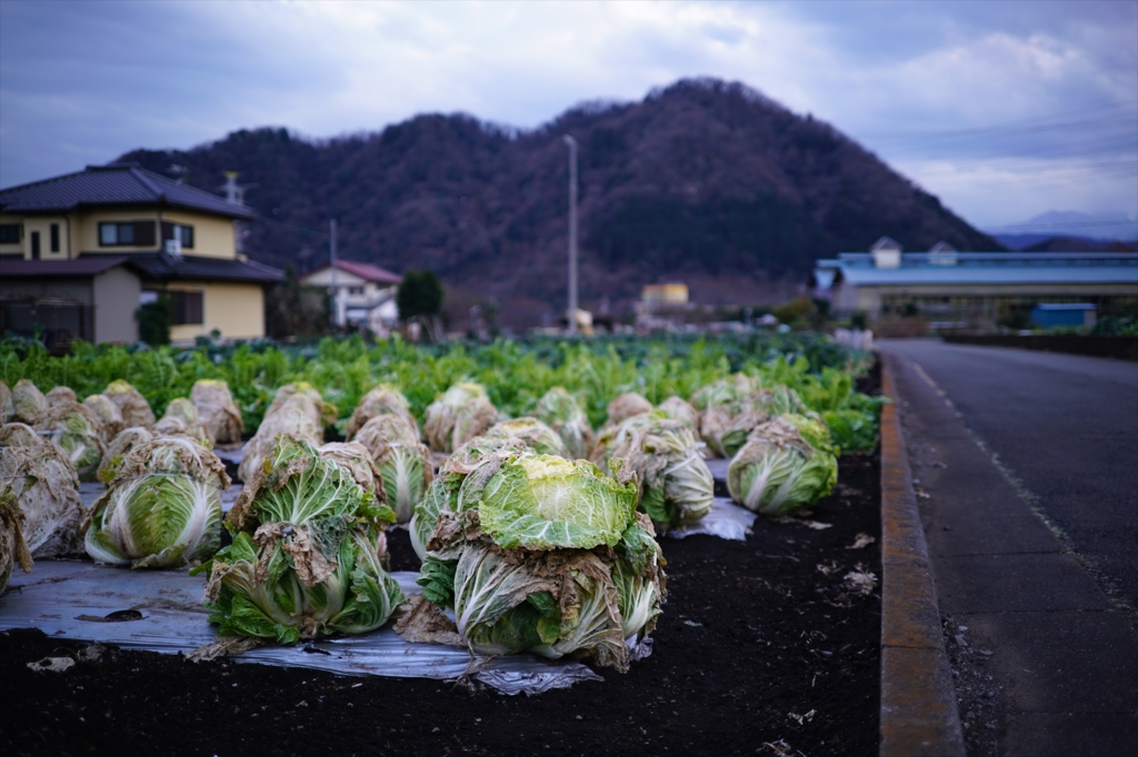 津久井・城山