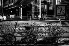 新橋