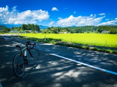 県道47号線②