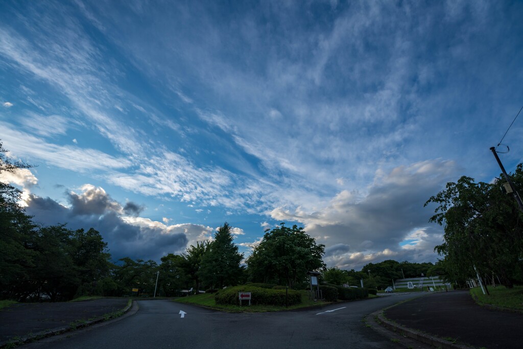 舞鶴公園③