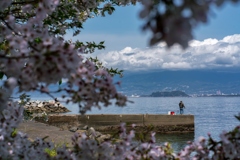 内浦三津④