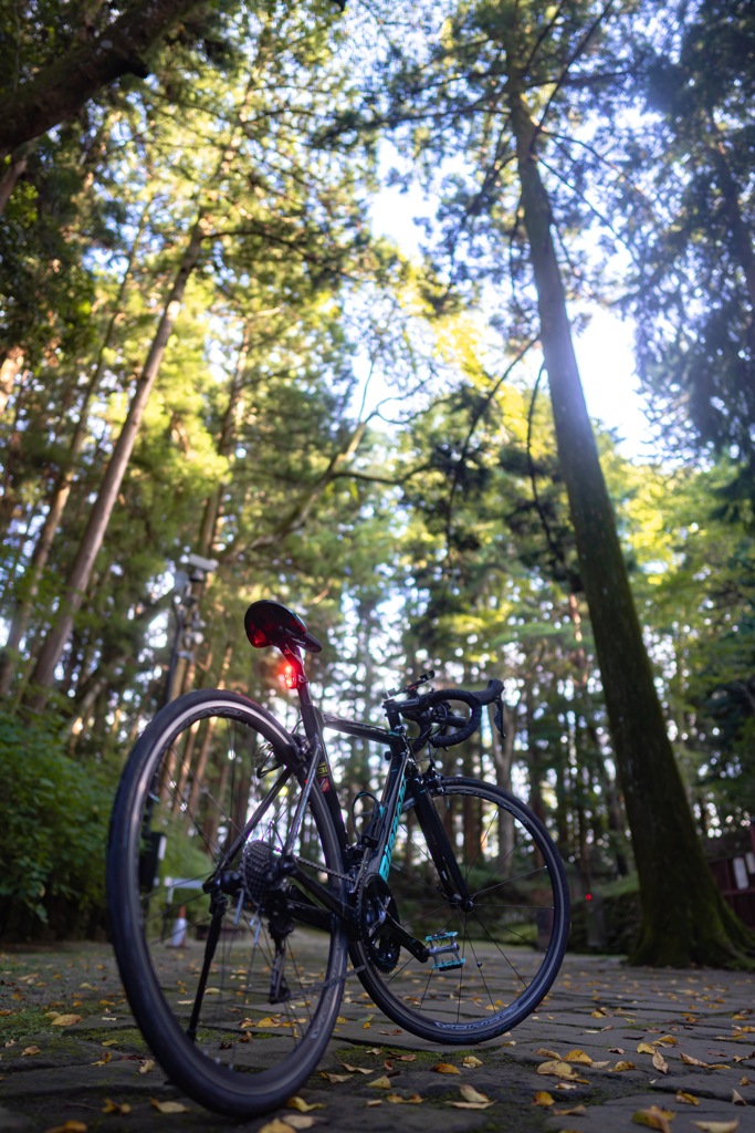 経ヶ峰②