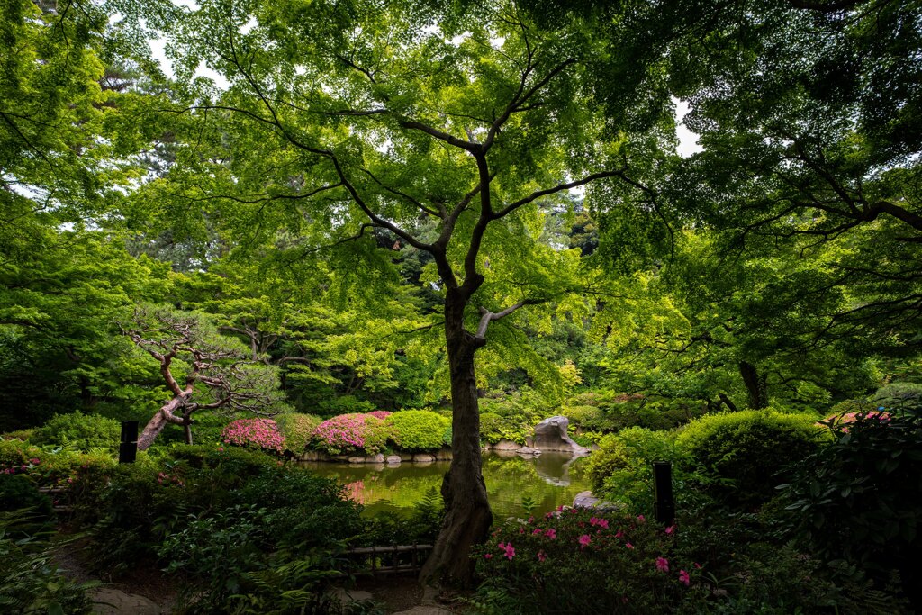 庭園美術館①