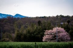 烏帽子岳