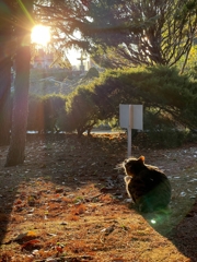 港の見える丘公園
