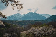 蔵王連峰①