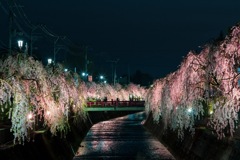 倉津川①