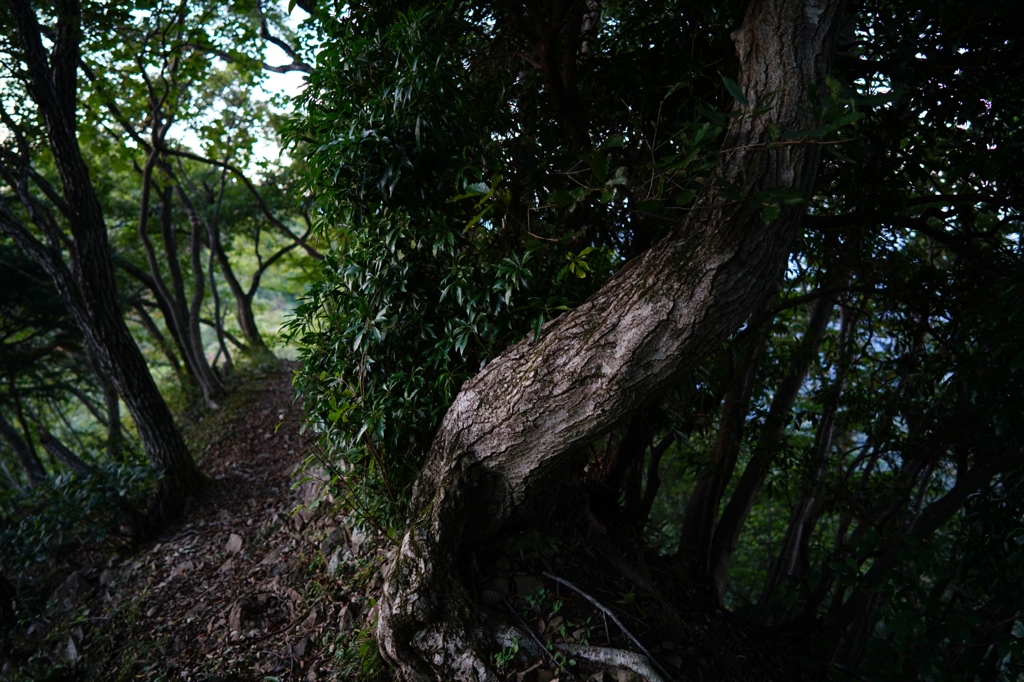 2015.10.8 Batis 2/25②