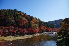 香嵐渓②
