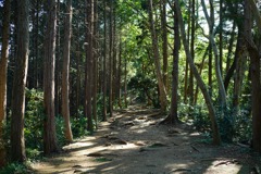 高尾山・稲荷山ルート③