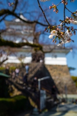 小田原③