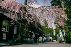 瑞巌寺