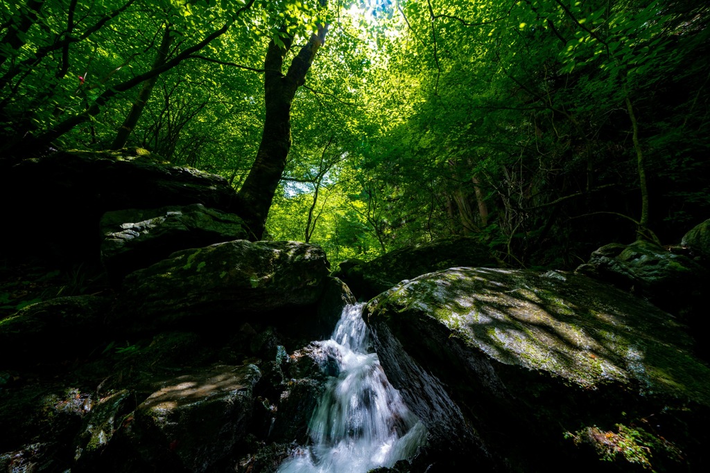 棒ノ折山②