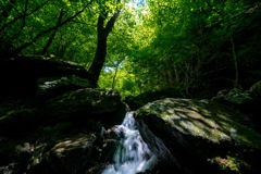 棒ノ折山②