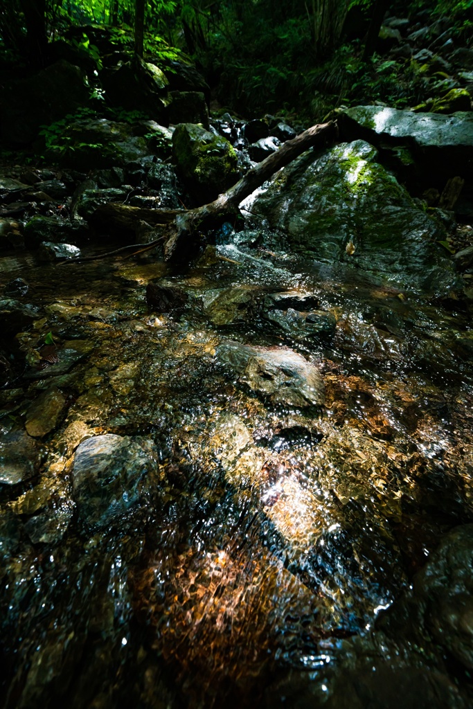 棒ノ折山①