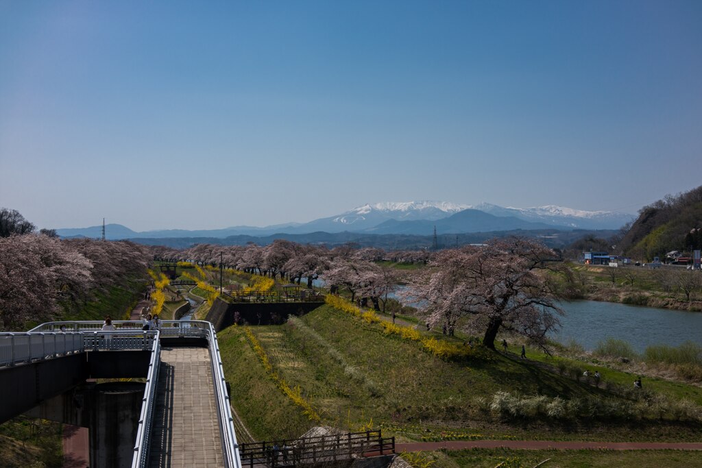 一目千本桜①