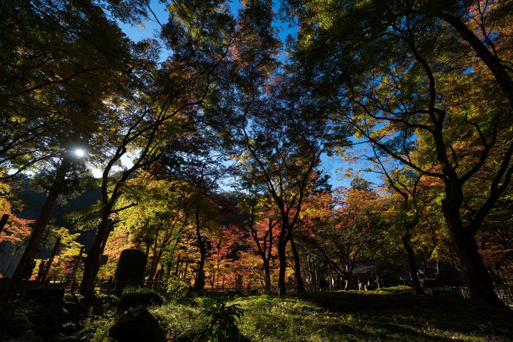 香嵐渓⑪