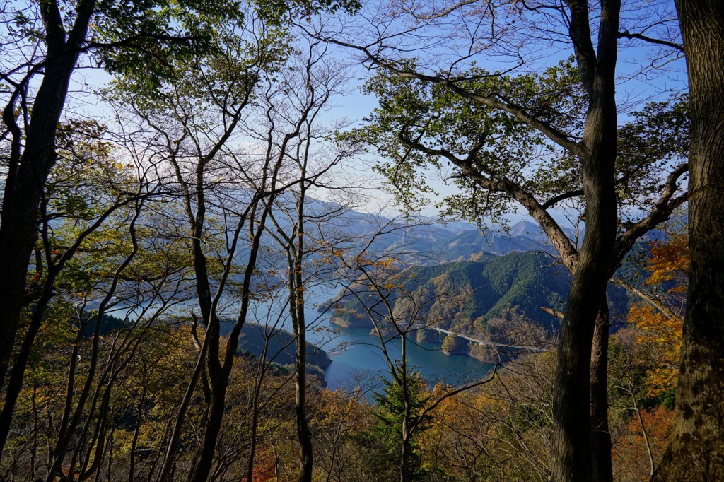宮ヶ瀬・佐久間尾根②