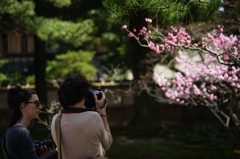 兼六園②
