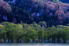 晩春・白川湖①