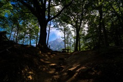 瑞牆山登山道①
