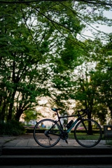 長池公園②