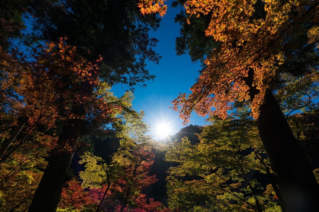 香嵐渓⑫