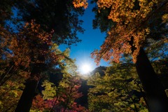 香嵐渓⑫