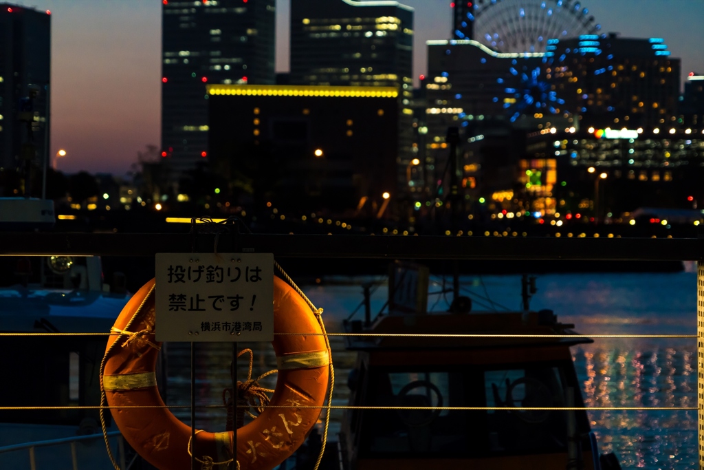 大桟橋④