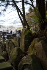 天燐院