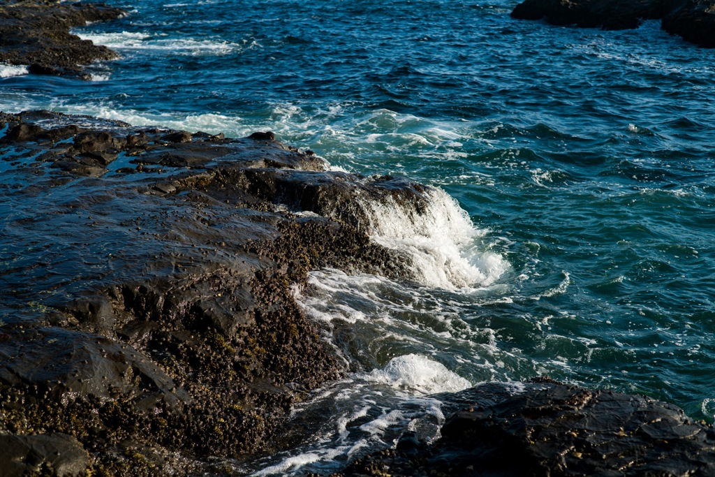 江ノ島④