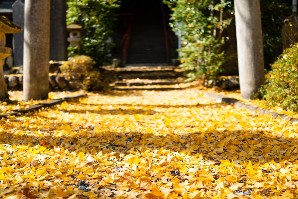 諏訪神社①