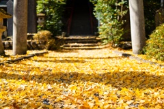 諏訪神社①