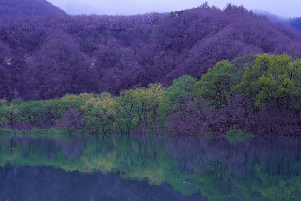 荒雄湖