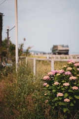 28-75mm F/2.8 Di III RXD @ 小田原③