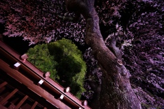 日光の裏道