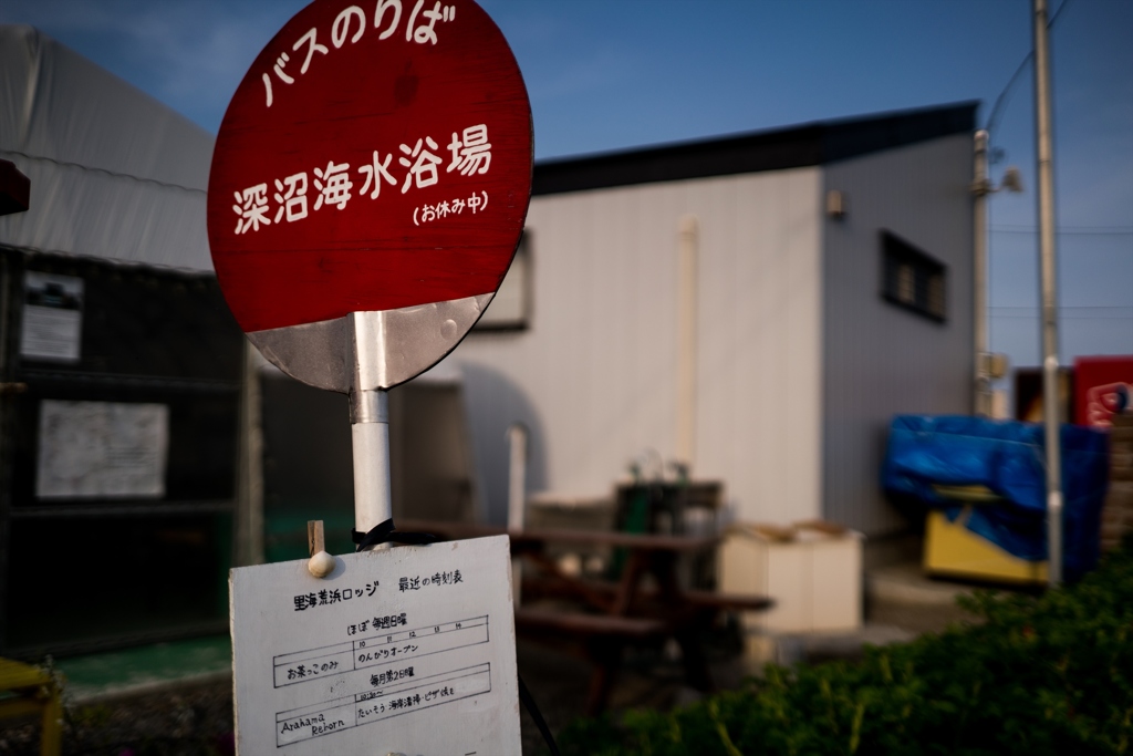 day after 7 years③
