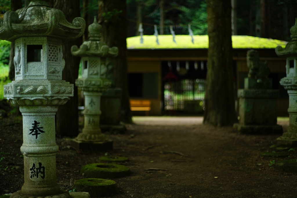 CONTAX N Planar T* 50mm F1.4①