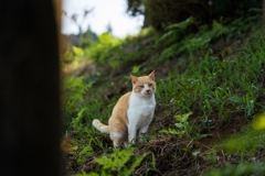 宮ヶ瀬園地②