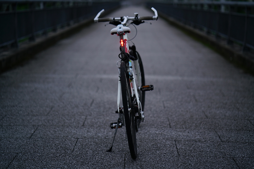 Batis1.8/85④
