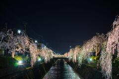 倉津川②