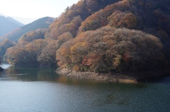 荒井林道・遠景