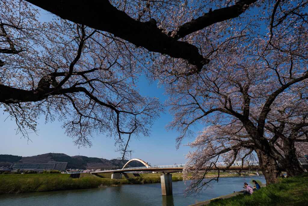 一目千本桜②